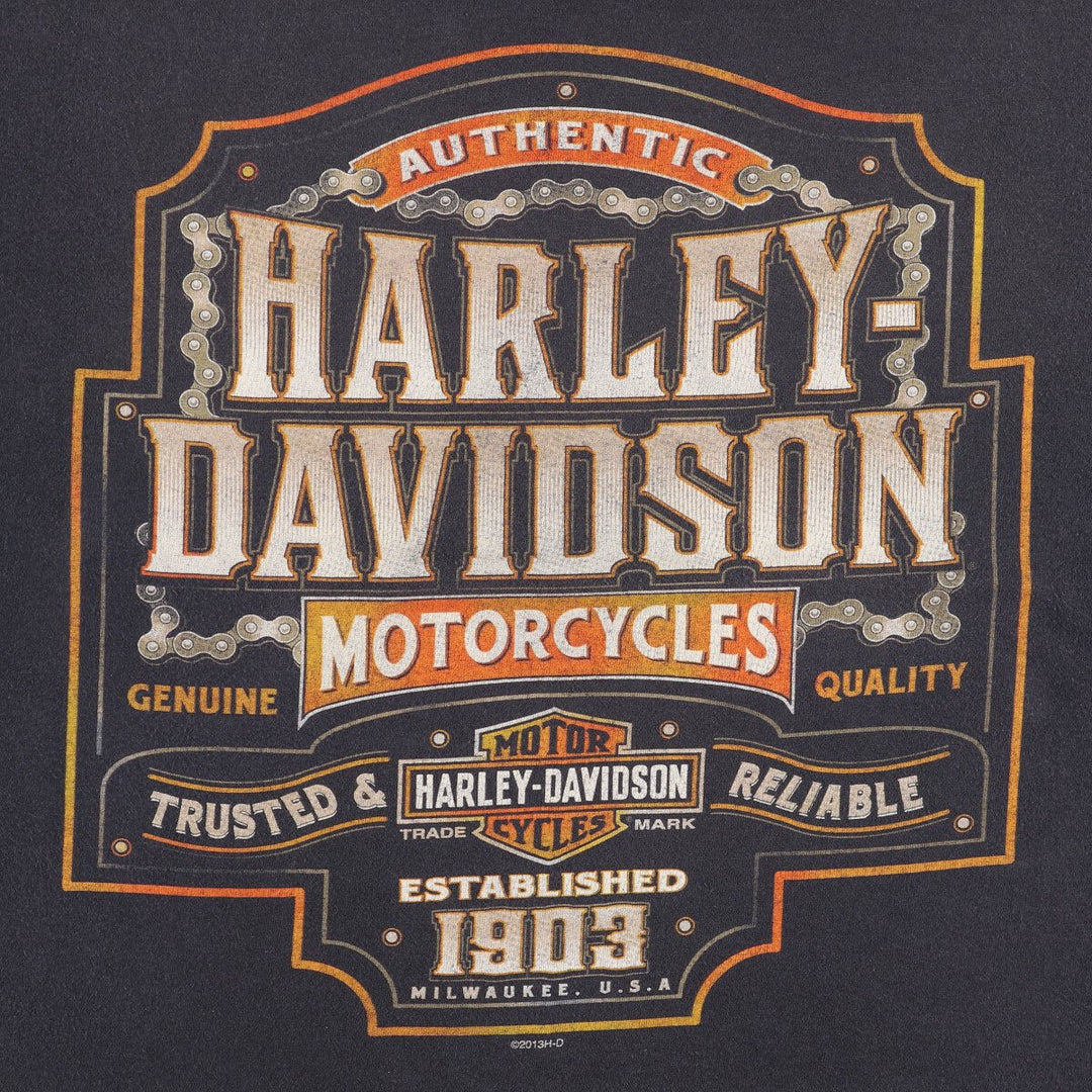 Harley-Davidson Fire Pattern Motorcycle Bike T-Shirt Men's XXL cotton Charcoal Vintage Second Hand