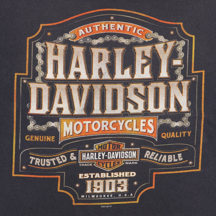 Harley-Davidson Fire Pattern Motorcycle Bike T-Shirt Men's XXL cotton Charcoal Vintage Second Hand