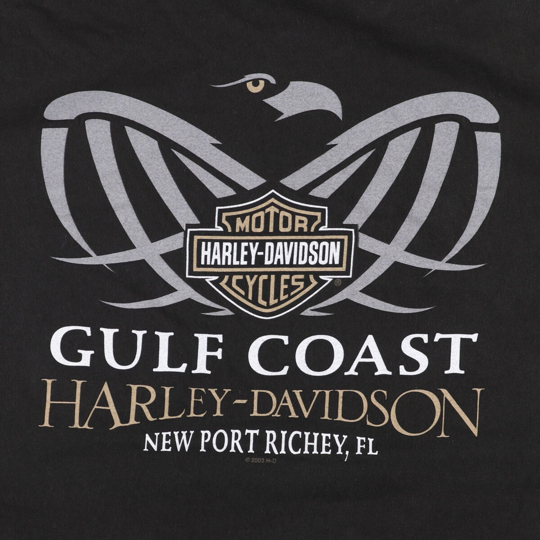 2000'S Harley-Davidson HANES Eagle Pattern Motorcycle T-Shirt, Made in USA, Men's XXL cotton black type Vintage Second Hand