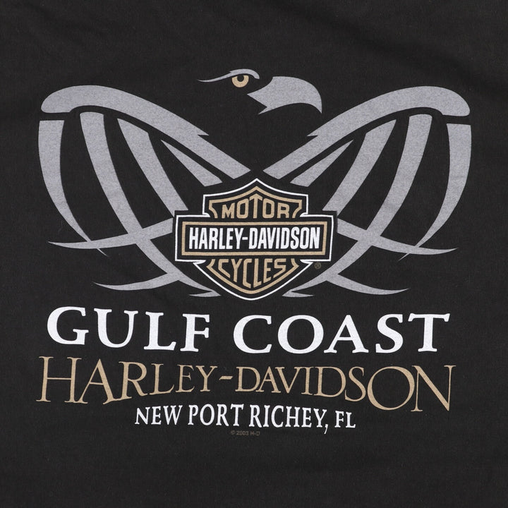 2000'S Harley-Davidson HANES Eagle Pattern Motorcycle T-Shirt, Made in USA, Men's XXL cotton black type Vintage Second Hand