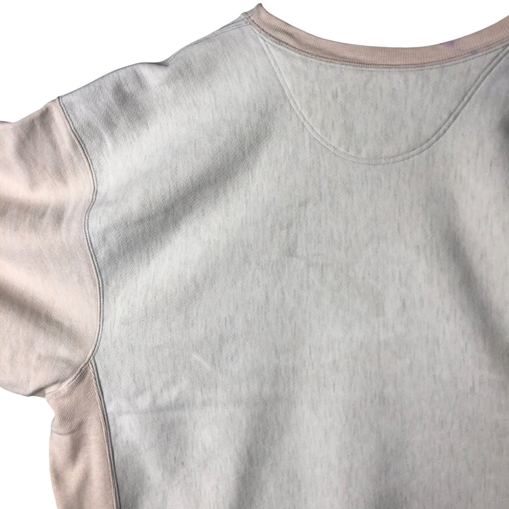 2000'S Champion Premium Reverse Weave College Sweatshirt, Men's XXL unclear pale white type Vintage Second Hand
