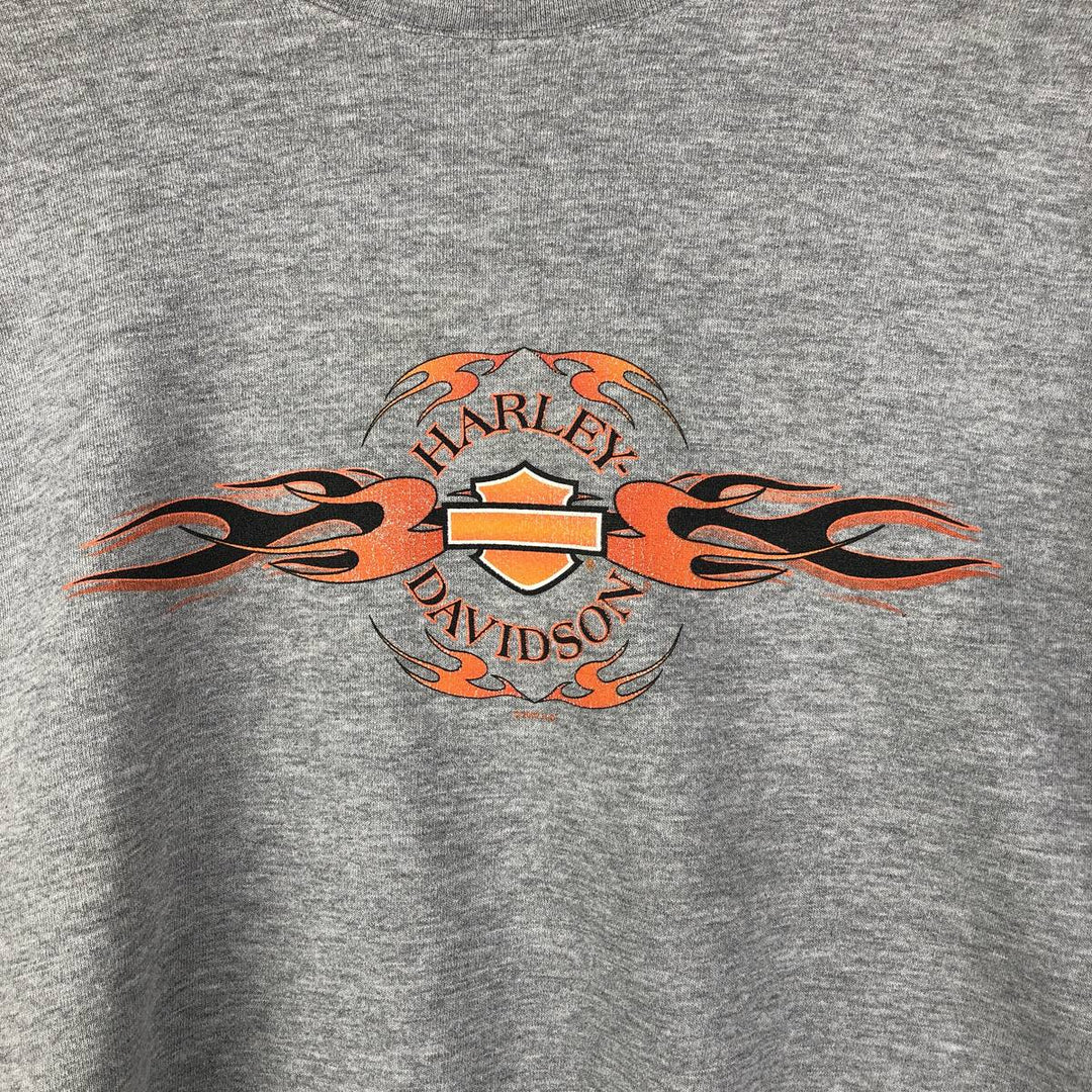 2000'S Harley-Davidson Tribal Advertising Sweatshirt, Men's XXL unclear gray type Vintage Second Hand