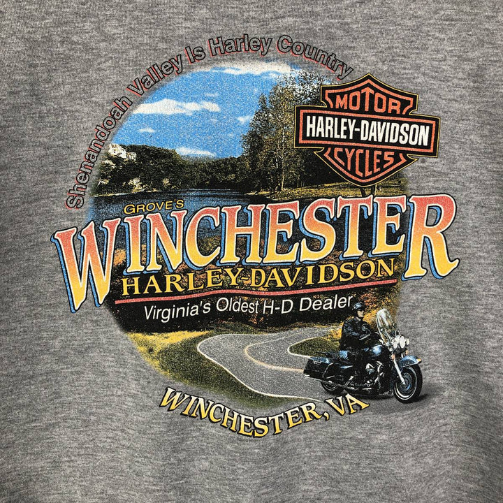2000'S Harley-Davidson Tribal Advertising Sweatshirt, Men's XXL unclear gray type Vintage Second Hand