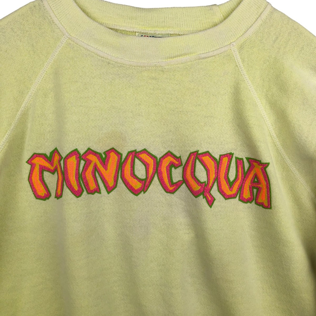 Vintage 80'S Hanes Blue Tag Printed Sweatshirt, Made in USA, Men's XL cotton lemon yellow Vintage Second Hand