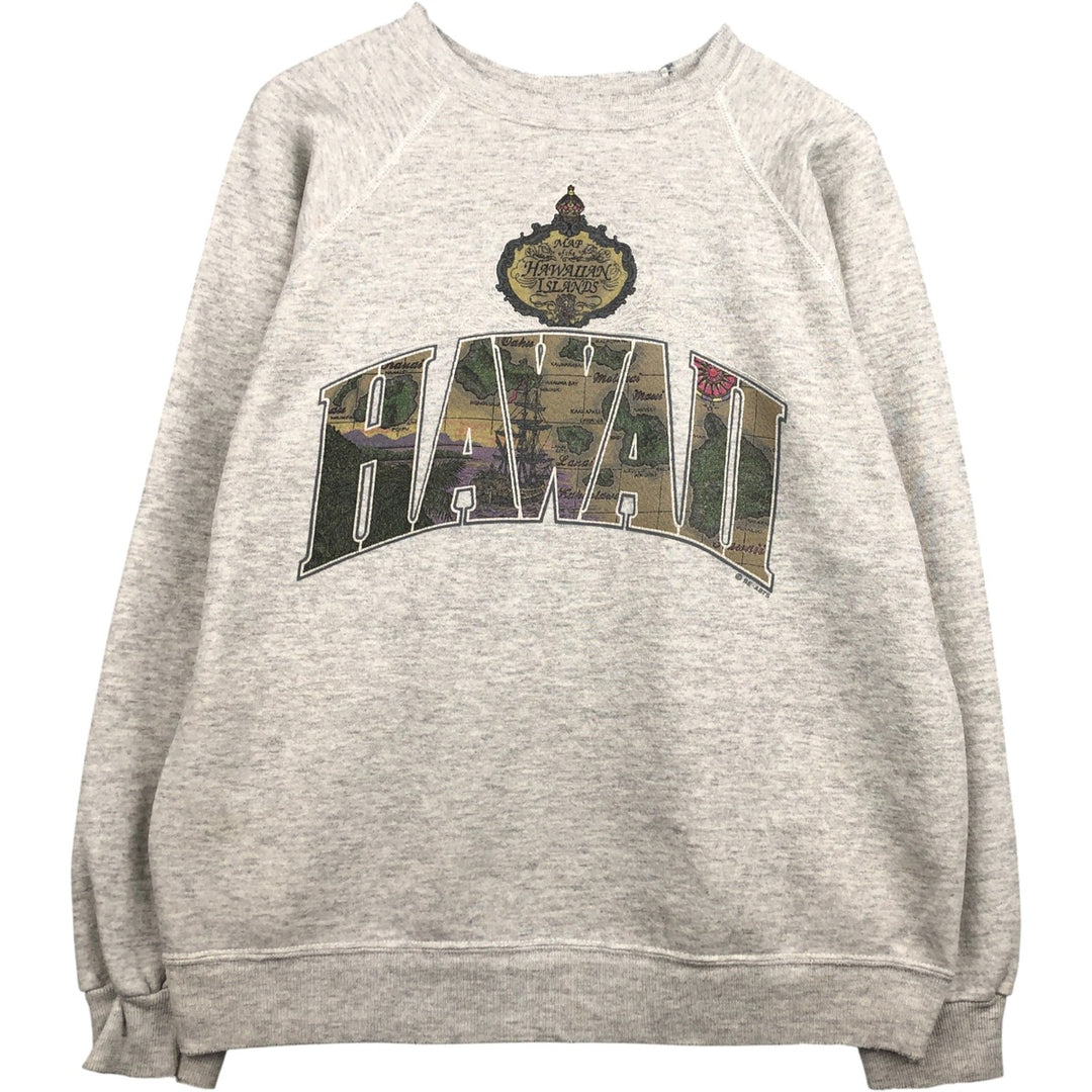 Vintage 90s-00'S Hanes printed sweatshirt, made in the USA, size L, men's cotton gray type Vintage Second Hand