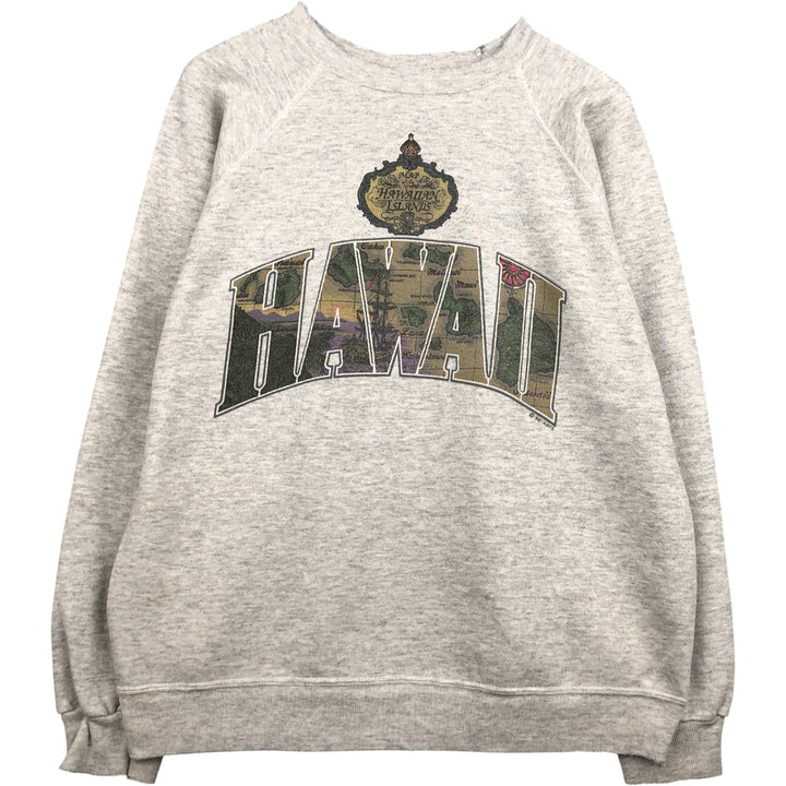 Vintage 90s-00'S Hanes printed sweatshirt, made in the USA, size L, men's cotton gray type Vintage Second Hand