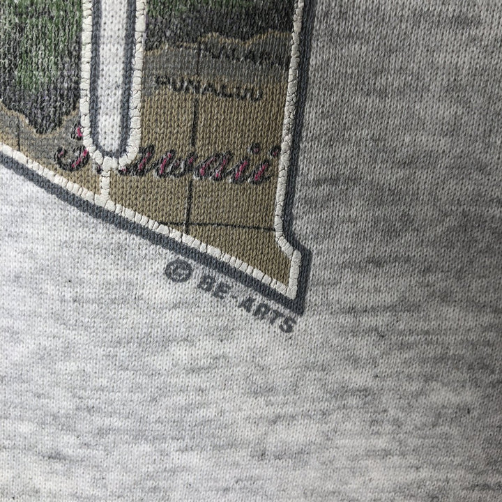 Vintage 90s-00'S Hanes printed sweatshirt, made in the USA, size L, men's cotton gray type Vintage Second Hand