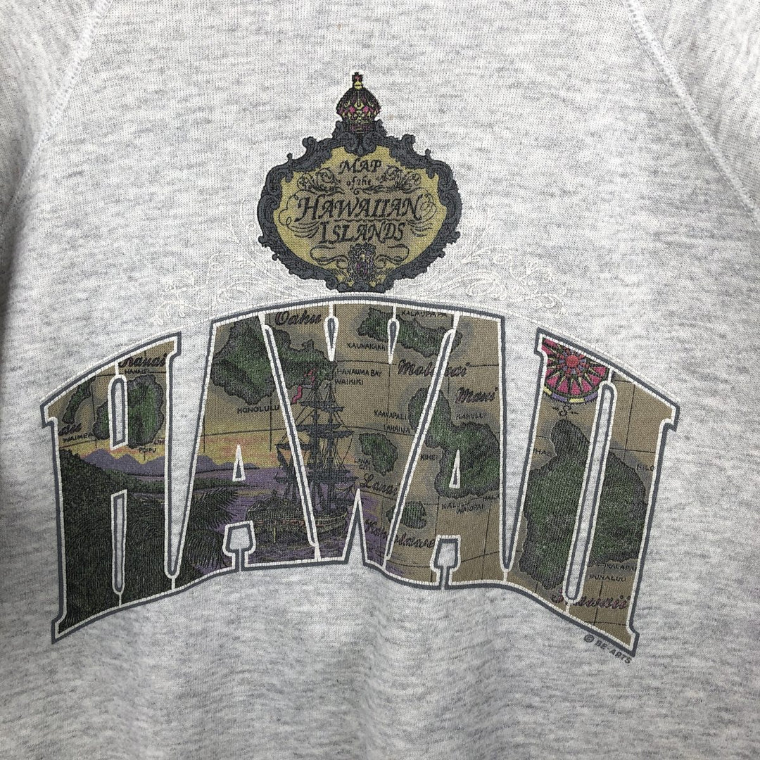 Vintage 90s-00'S Hanes printed sweatshirt, made in the USA, size L, men's cotton gray type Vintage Second Hand