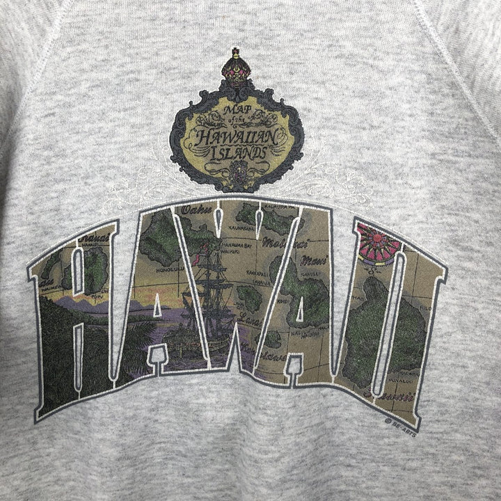 Vintage 90s-00'S Hanes printed sweatshirt, made in the USA, size L, men's cotton gray type Vintage Second Hand