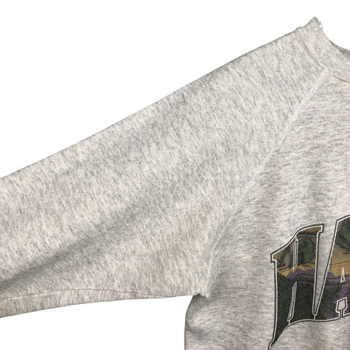 Vintage 90s-00'S Hanes printed sweatshirt, made in the USA, size L, men's cotton gray type Vintage Second Hand
