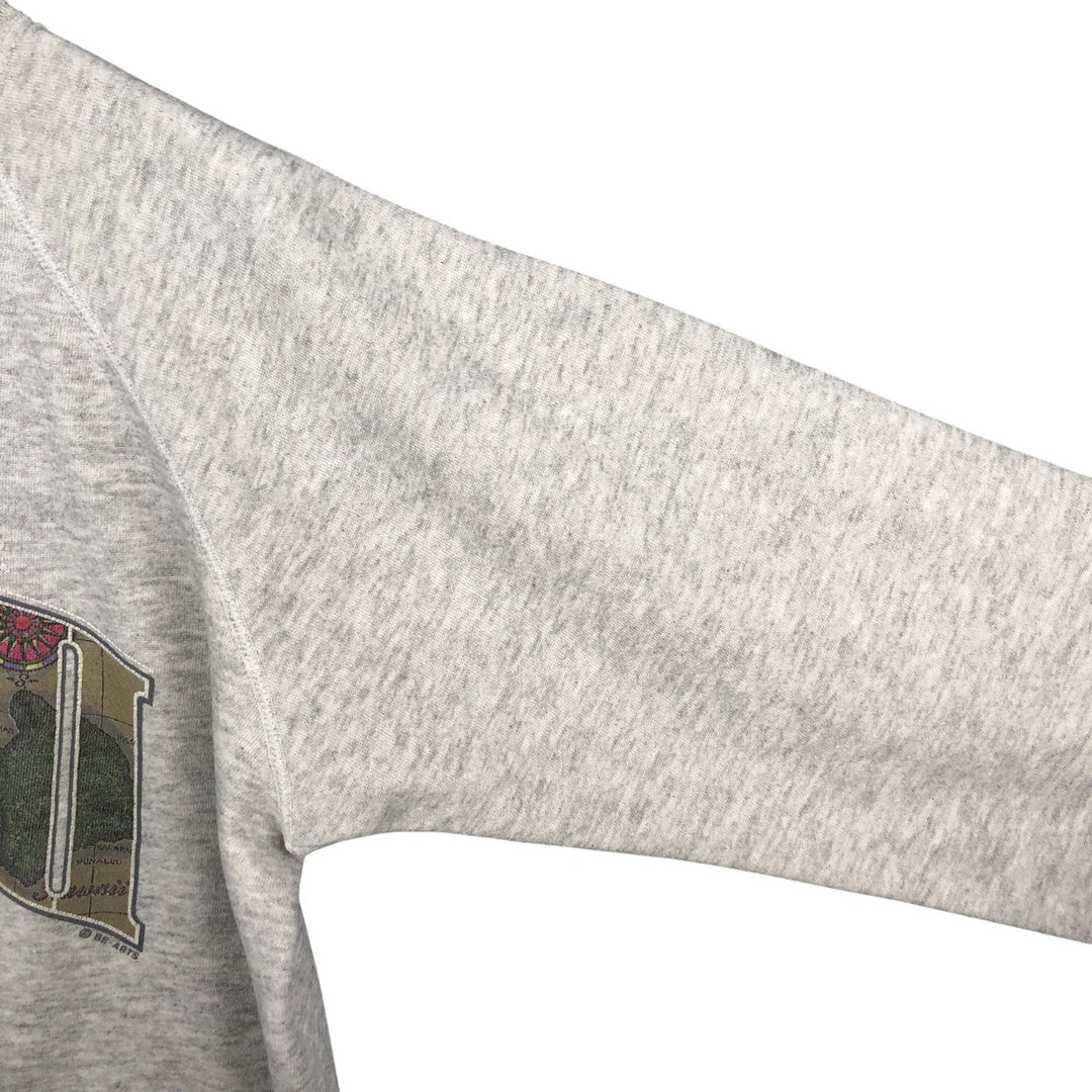 Vintage 90s-00'S Hanes printed sweatshirt, made in the USA, size L, men's cotton gray type Vintage Second Hand