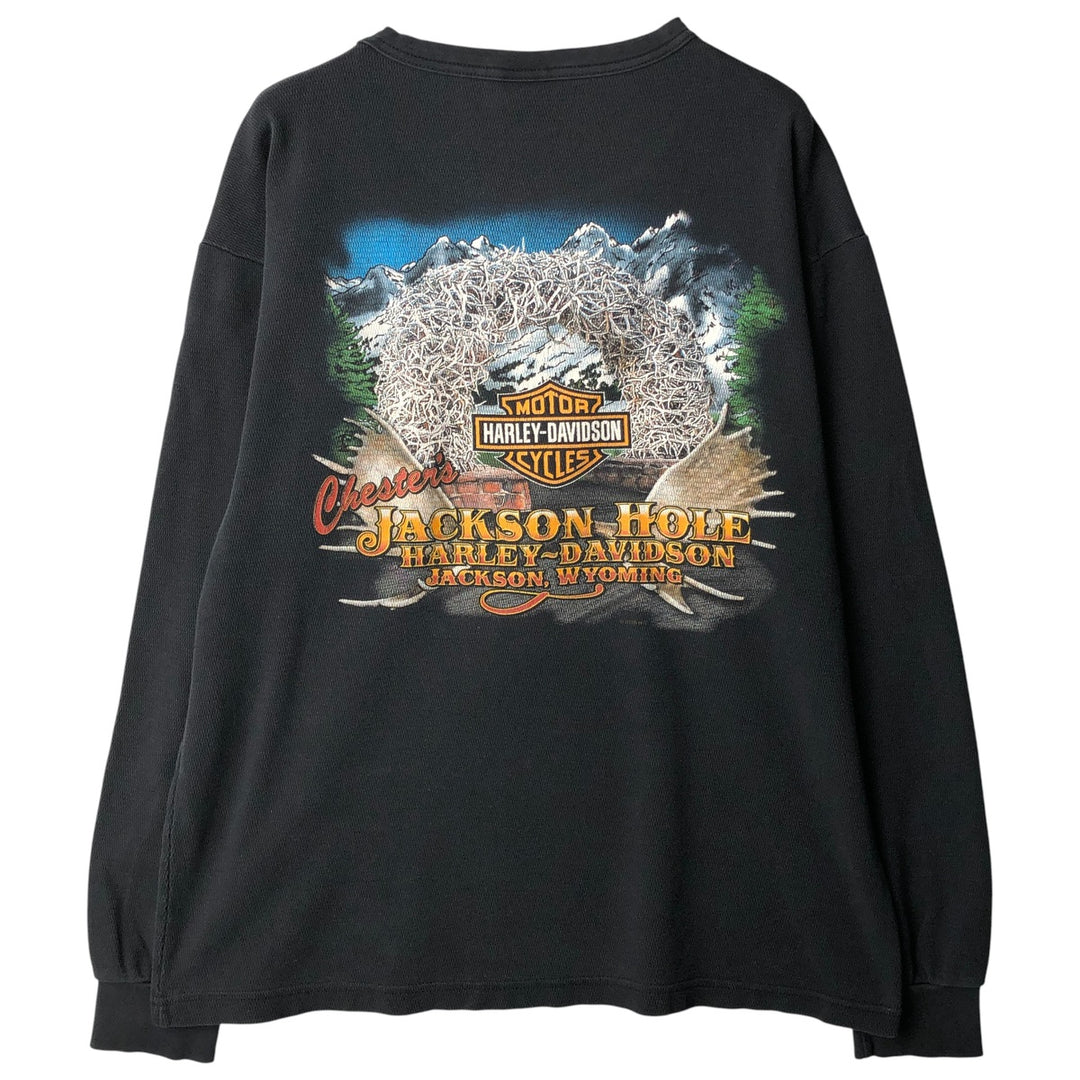 Harley-Davidson Thermallon T-Shirt, Honeycomb, Men's Size L unclear black type Vintage Second Hand