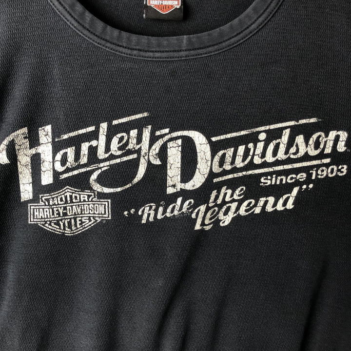 Harley-Davidson Thermallon T-Shirt, Honeycomb, Men's Size L unclear black type Vintage Second Hand