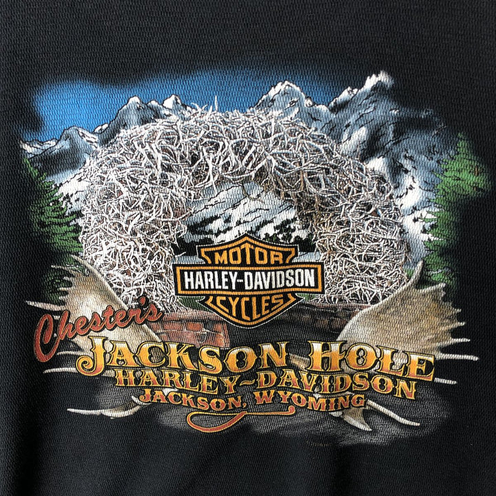 Harley-Davidson Thermallon T-Shirt, Honeycomb, Men's Size L unclear black type Vintage Second Hand