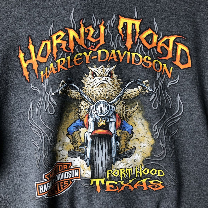 Harley-Davidson Fire Pattern Lizard Pattern Full-Zip Hoodie, Men's Size L cotton Charcoal Vintage Second Hand