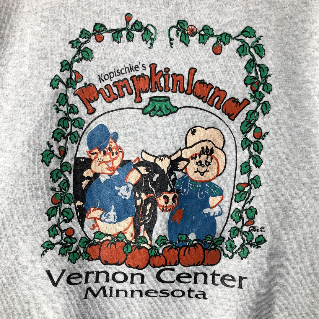 90'S Fruit of the Loom printed sweatshirt, made in the USA, men's size L, vintage cotton gray type Vintage Second Hand