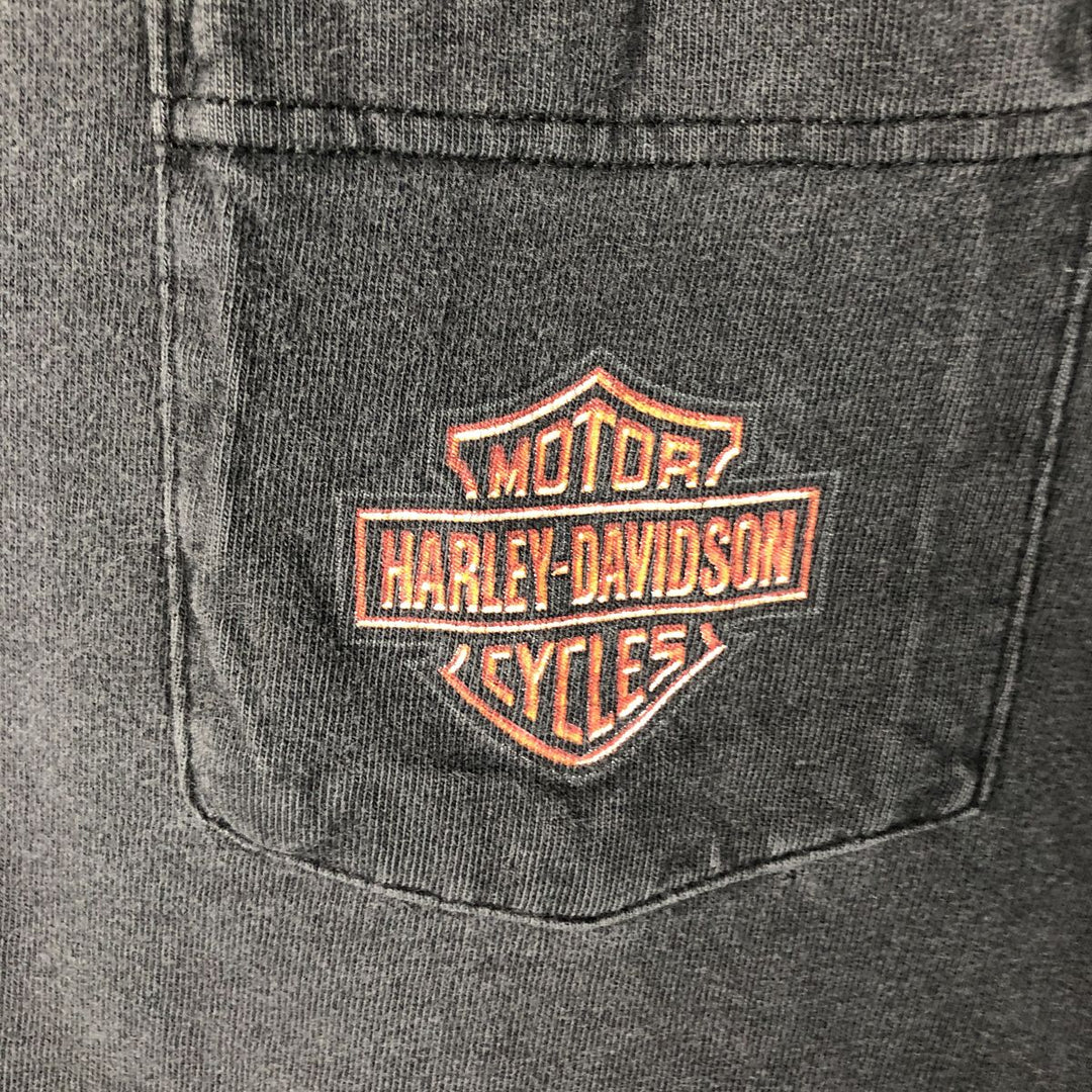 Harley-Davidson Eagle Pattern Motorcycle Long Sleeve T-Shirt, Made in USA, Men's XXL cotton Charcoal Vintage Second Hand