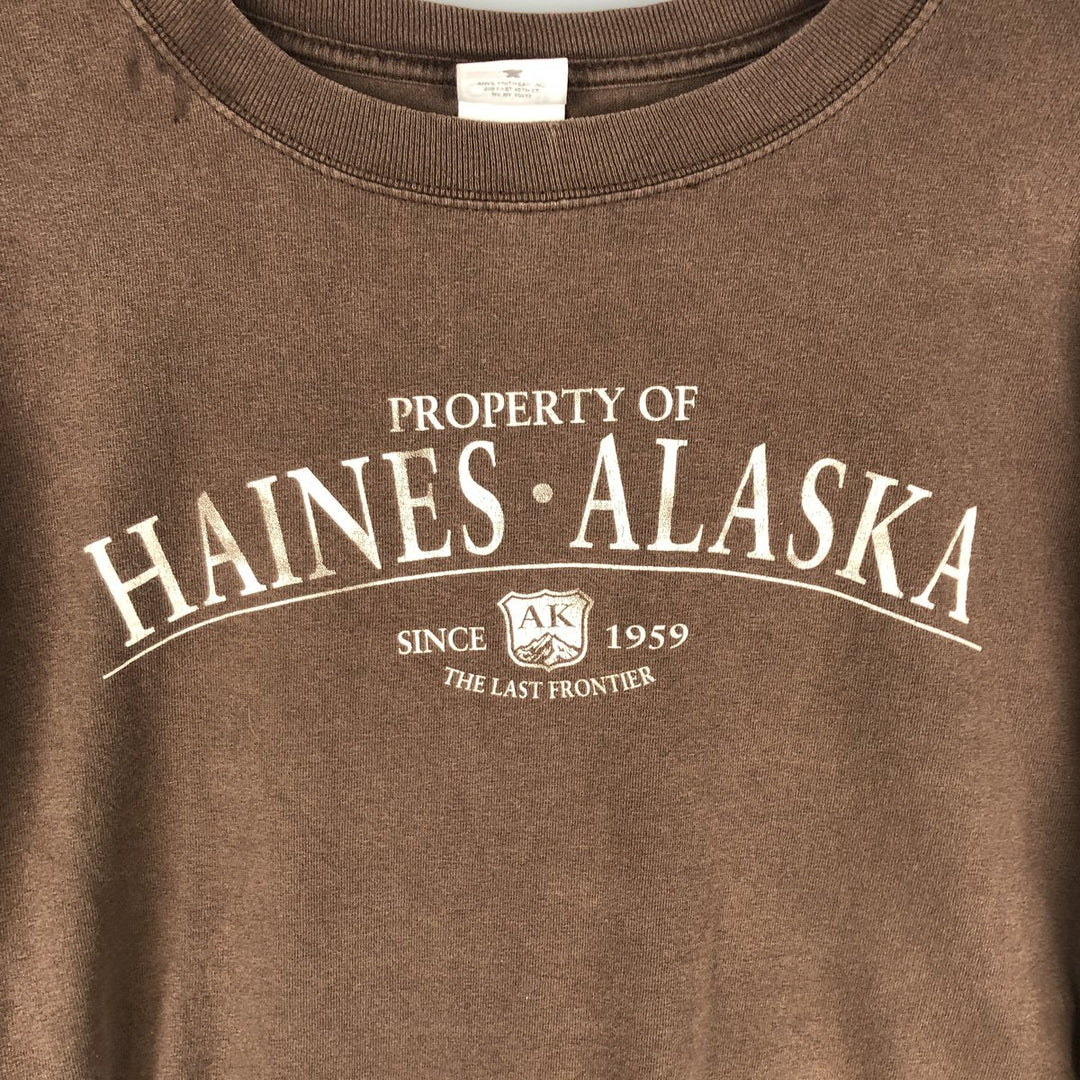 90s-00'S Anvil Long Sleeve T-Shirt, Men's XL cotton brown type Vintage Second Hand