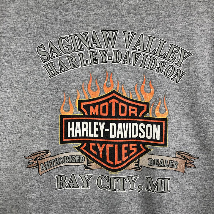 2000'S Harley-Davidson Fire Pattern Advertising Sweatshirt, Men's XXL unclear gray type Vintage Second Hand