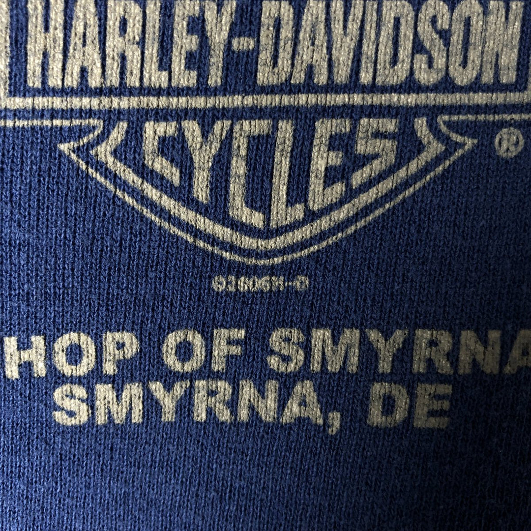 2000'S Harley-Davidson Skull Pattern Advertising Sweatshirt, Made in USA, Men's Size L unclear blue type Vintage Second Hand