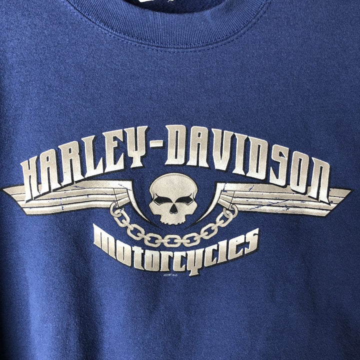 2000'S Harley-Davidson Skull Pattern Advertising Sweatshirt, Made in USA, Men's Size L unclear blue type Vintage Second Hand