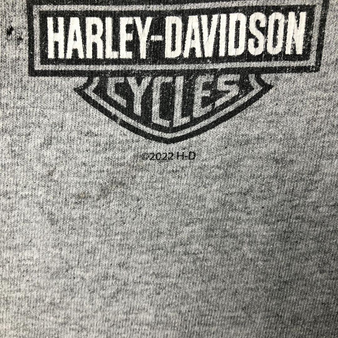 Harley-Davidson Skull Pattern Long T-shirt, Men's XL size cotton gray type Vintage Second Hand