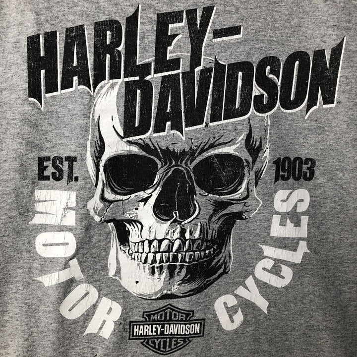 Harley-Davidson Skull Pattern Long T-shirt, Men's XL size cotton gray type Vintage Second Hand