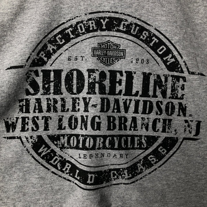 Harley-Davidson Skull Pattern Long T-shirt, Men's XL size cotton gray type Vintage Second Hand