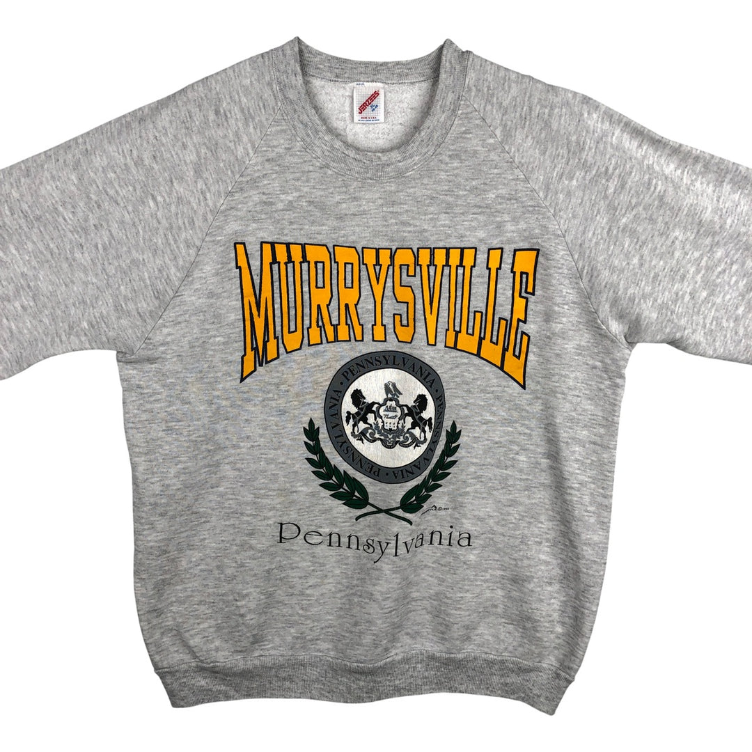 Vintage 90'S Jerzees college sweatshirt, made in the USA, men's size XL cotton pale white type Vintage Second Hand