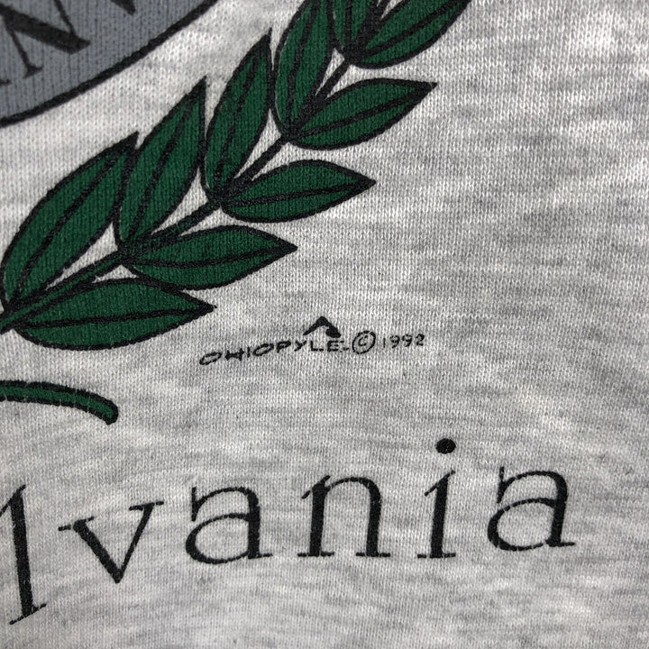 Vintage 90'S Jerzees college sweatshirt, made in the USA, men's size XL cotton pale white type Vintage Second Hand