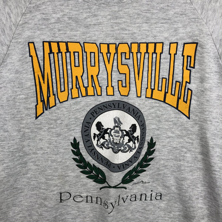 Vintage 90'S Jerzees college sweatshirt, made in the USA, men's size XL cotton pale white type Vintage Second Hand