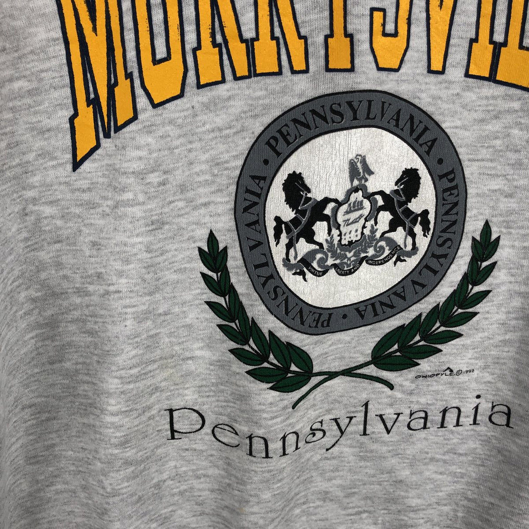 Vintage 90'S Jerzees college sweatshirt, made in the USA, men's size XL cotton pale white type Vintage Second Hand