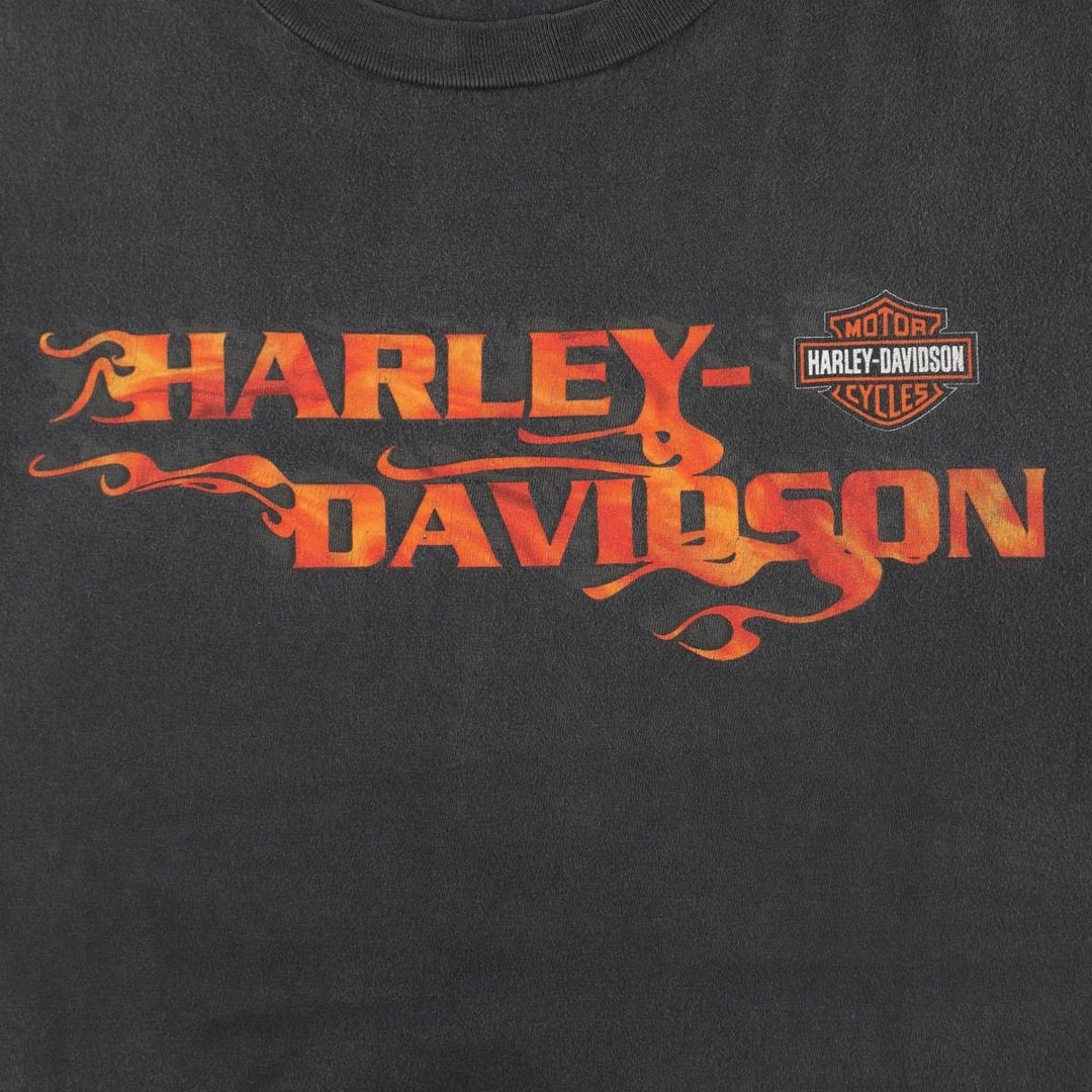 Harley-Davidson Fire Pattern Motorcycle Bike T-Shirt Made in USA Men's XL cotton gray type Vintage Second Hand