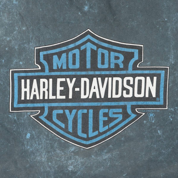 Hanes Harley-Davidson Motorcycle T-Shirt, Made in USA, Men's XXL cotton blue type Vintage Second Hand
