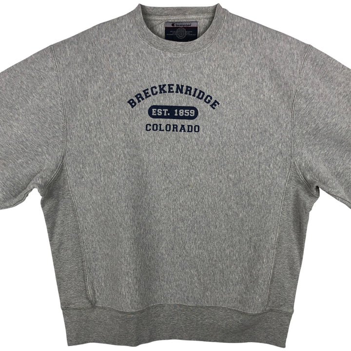 2000'S Champion Triple Print Sweatshirt, Men's Size M cotton gray type Vintage Second Hand