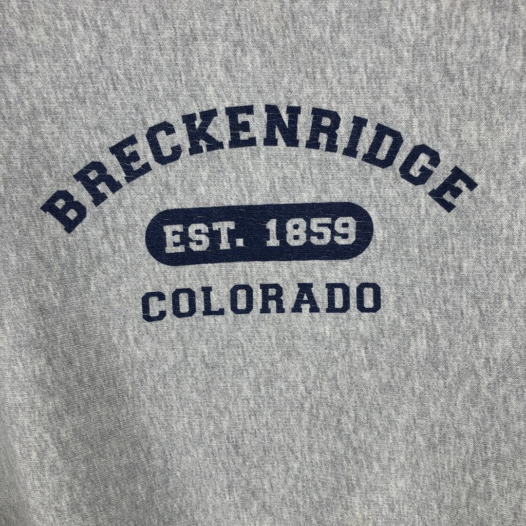 2000'S Champion Triple Print Sweatshirt, Men's Size M cotton gray type Vintage Second Hand
