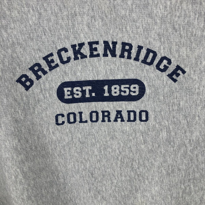 2000'S Champion Triple Print Sweatshirt, Men's Size M cotton gray type Vintage Second Hand