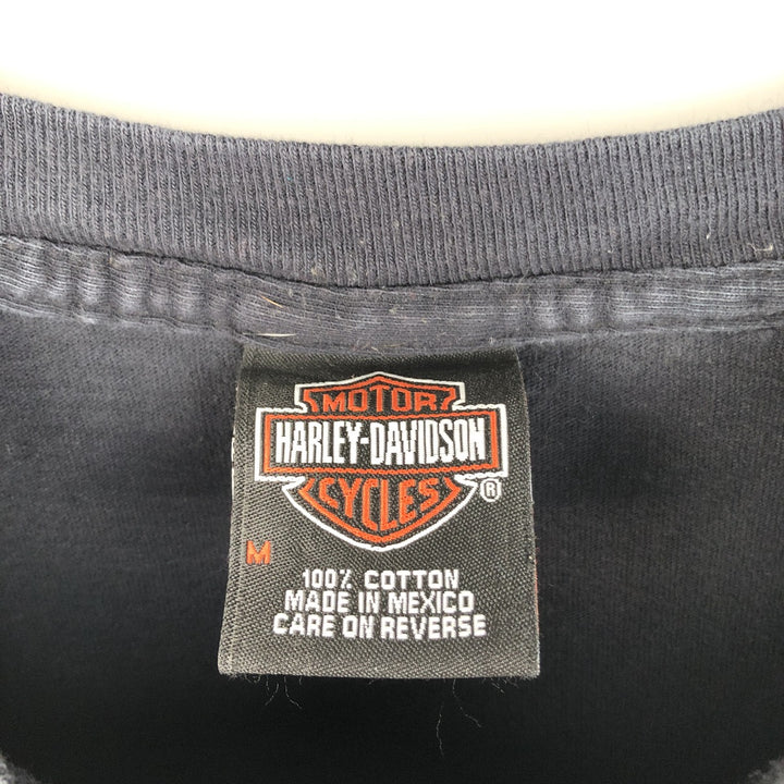 00'S Harley-Davidson Fire Pattern Motorcycle Bike T-Shirt Men's M cotton black type Vintage Second Hand