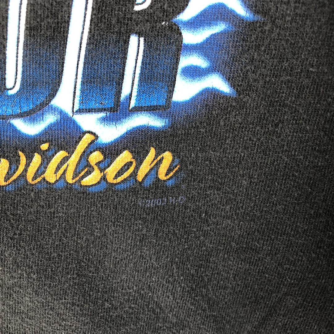 2000'S Harley-Davidson Bear Print Motorcycle T-Shirt, Made in USA, Men's Size XL cotton black type Vintage Second Hand