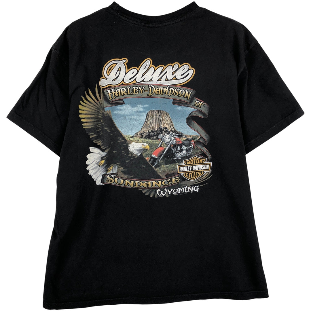 Harley-Davidson Eagle Pattern Skull Pattern Motorcycle T-Shirt, Made in USA, Men's Size L cotton black type Vintage Second Hand