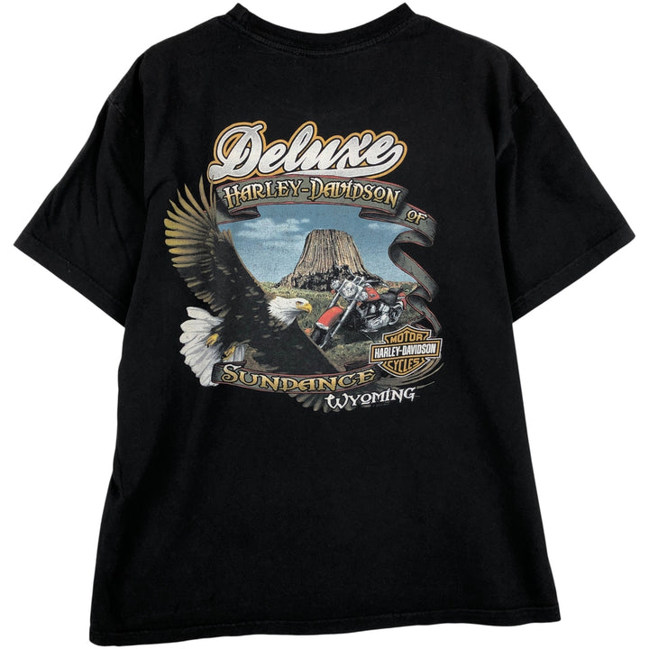 Harley-Davidson Eagle Pattern Skull Pattern Motorcycle T-Shirt, Made in USA, Men's Size L cotton black type Vintage Second Hand