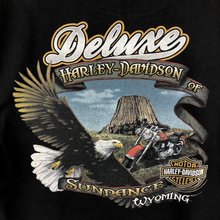 Harley-Davidson Eagle Pattern Skull Pattern Motorcycle T-Shirt, Made in USA, Men's Size L cotton black type Vintage Second Hand