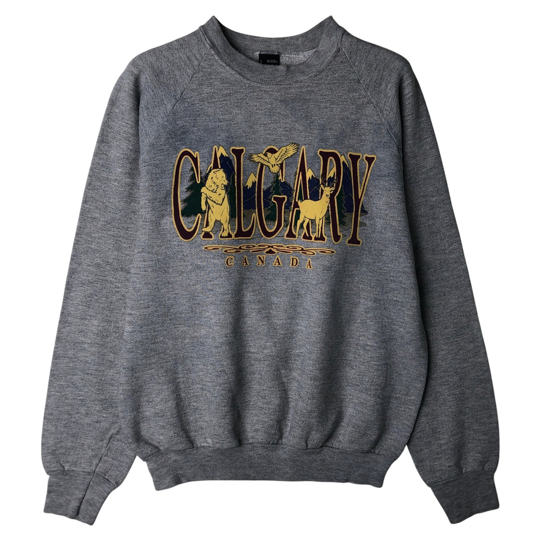 Vintage 90'S SCREEN STARS printed sweatshirt, made in the USA, size L, men's cotton gray type Vintage Second Hand