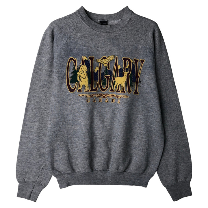 Vintage 90'S SCREEN STARS printed sweatshirt, made in the USA, size L, men's cotton gray type Vintage Second Hand