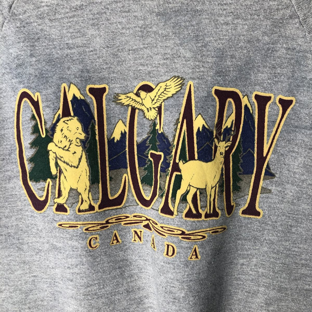 Vintage 90'S SCREEN STARS printed sweatshirt, made in the USA, size L, men's cotton gray type Vintage Second Hand