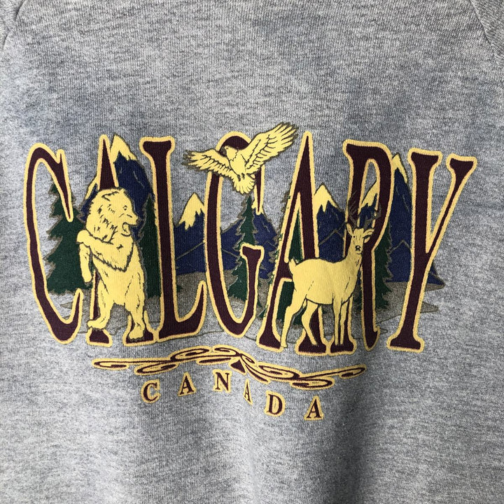 Vintage 90'S SCREEN STARS printed sweatshirt, made in the USA, size L, men's cotton gray type Vintage Second Hand