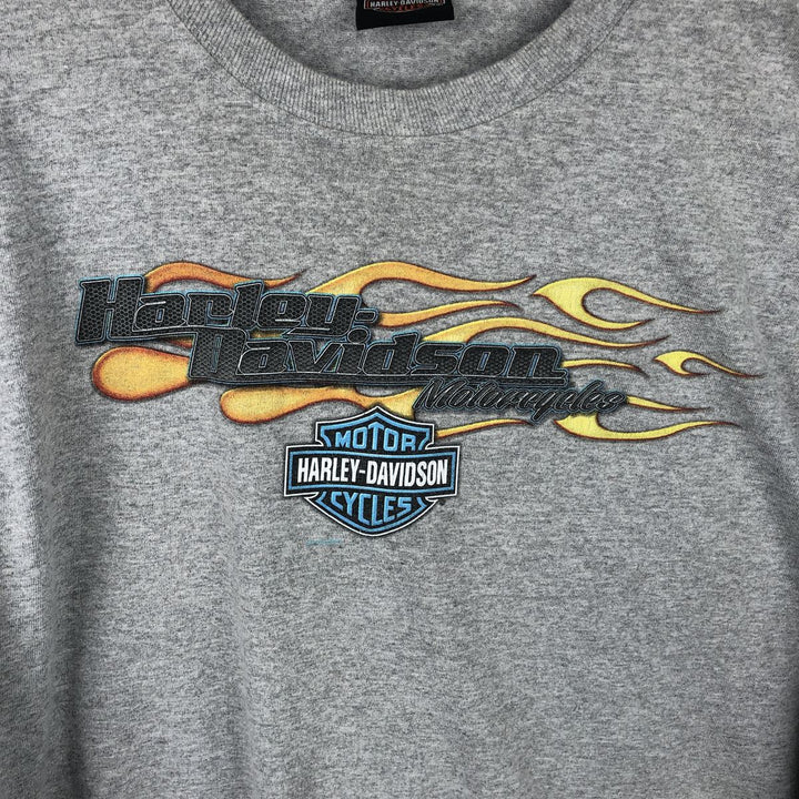 Harley-Davidson Fire Pattern Motorcycle Long Sleeve T-Shirt, Men's Size L unclear gray type Vintage Second Hand