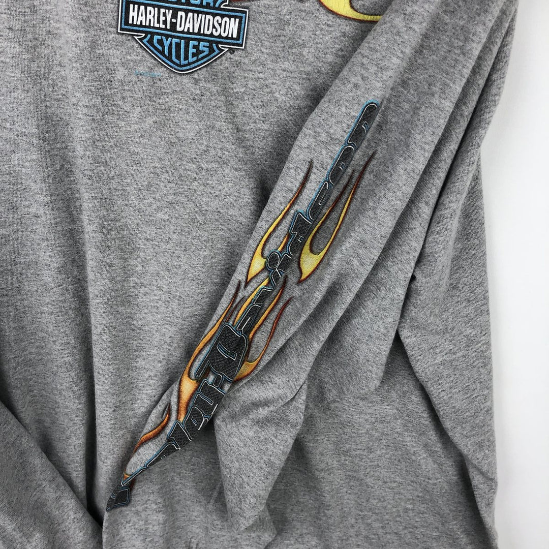 Harley-Davidson Fire Pattern Motorcycle Long Sleeve T-Shirt, Men's Size L unclear gray type Vintage Second Hand