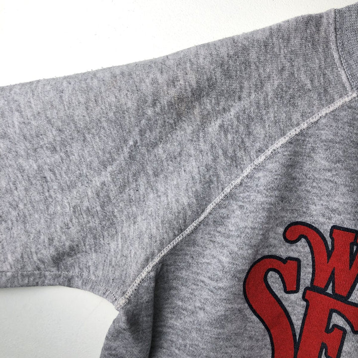 Vintage 1980'S Panir MLB Minnesota Twins Printed Sweatshirt, Made in USA, Men's Size Large acrylic gray type Vintage Second Hand