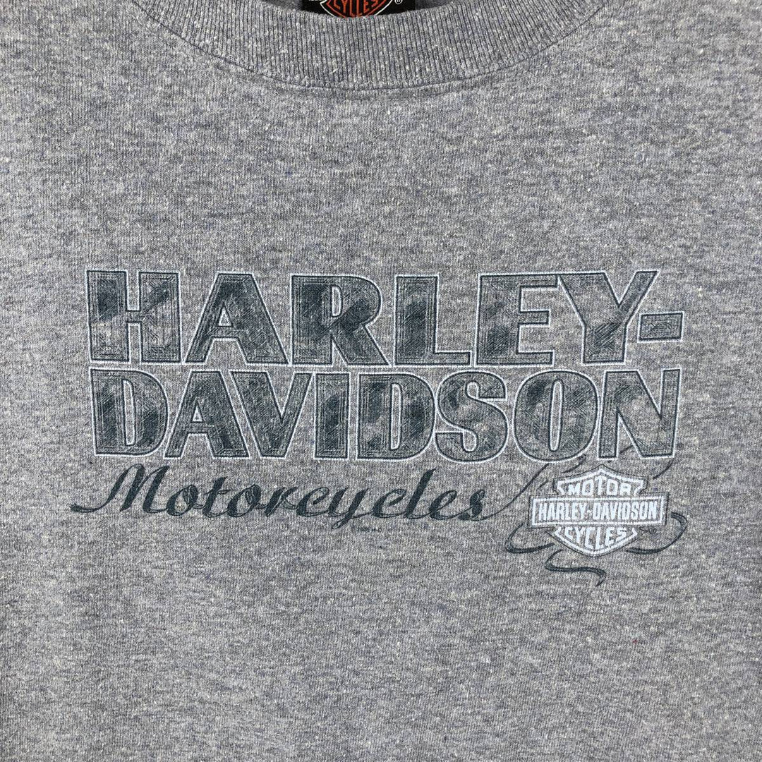 00'S Harley-Davidson Motorcycle Bike T-shirt Made in USA Men's L size cotton gray type Vintage Second Hand